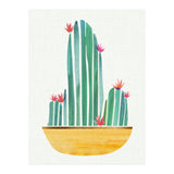 Bowl O' Cactus (Print Only) thumbnail