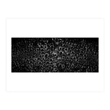 Bubbles (Print Only) thumbnail