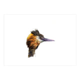 Grebe No.1 (Print Only) thumbnail