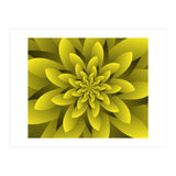 Spring Floral (Print Only) thumbnail