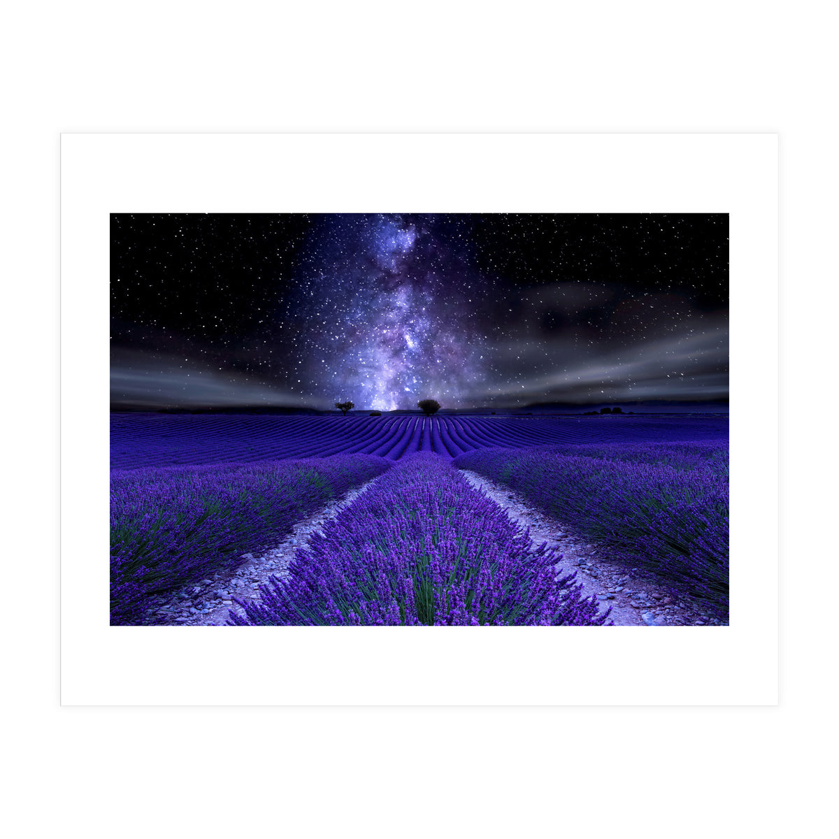 Under The Stars (Print Only)