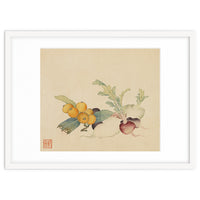 Wang Chengpi~flowers And Vegetables, Vegetables, Fruits, Loquat, White Radish, Carrot, Radish