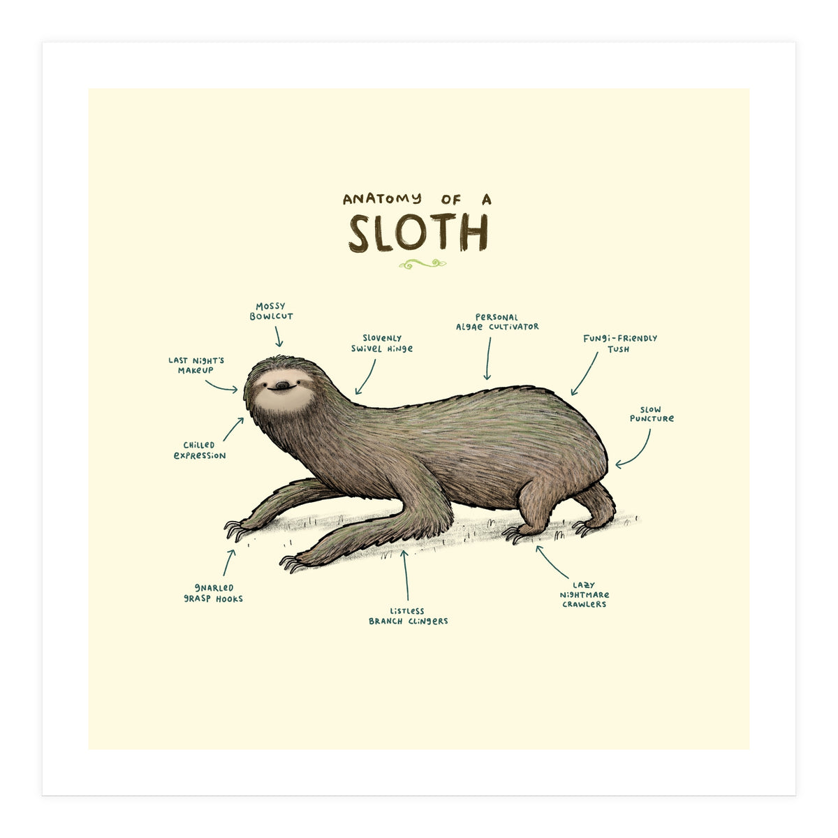 Anatomy Of A Sloth (Print Only)
