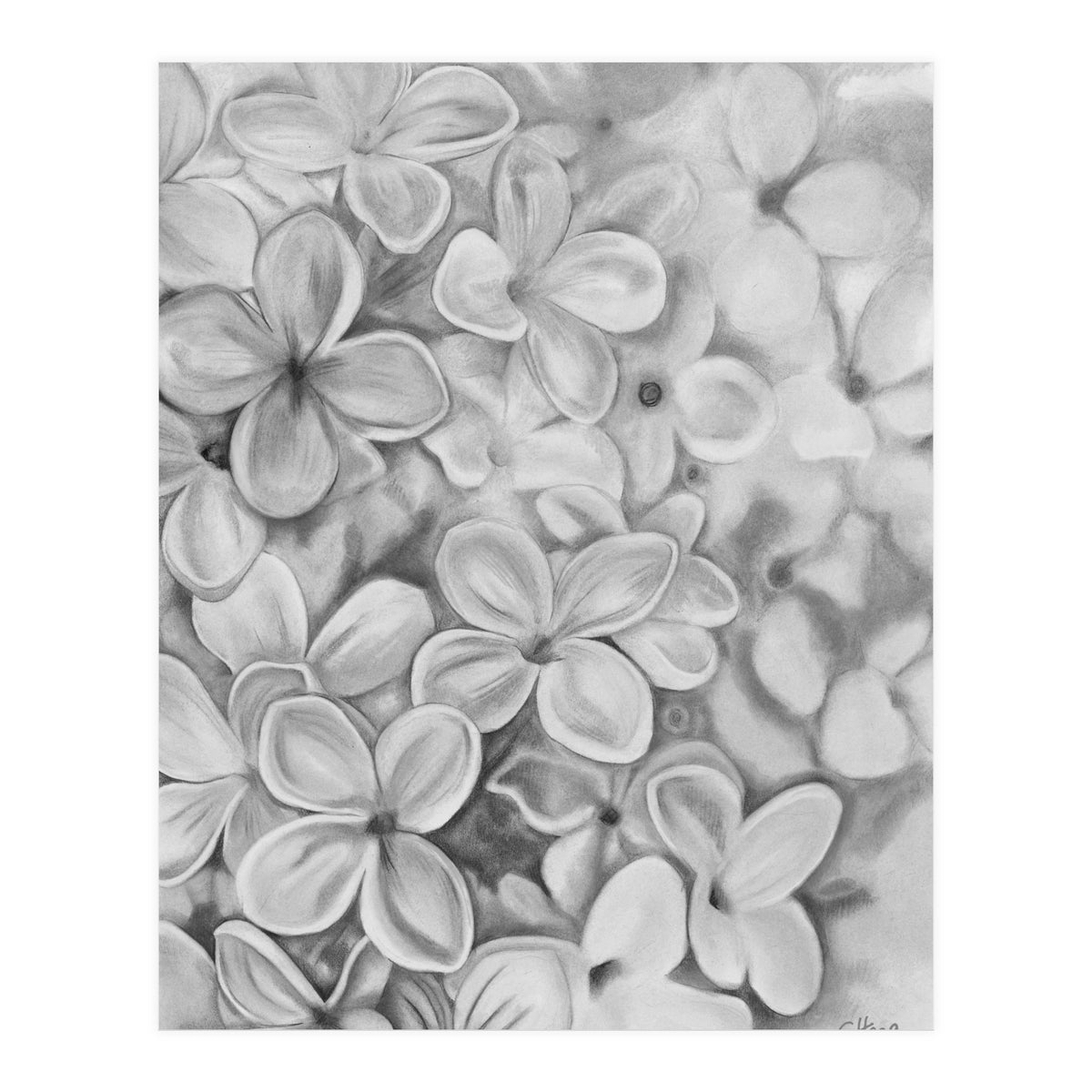 The Essence Of Spring in Monochrome (Print Only)