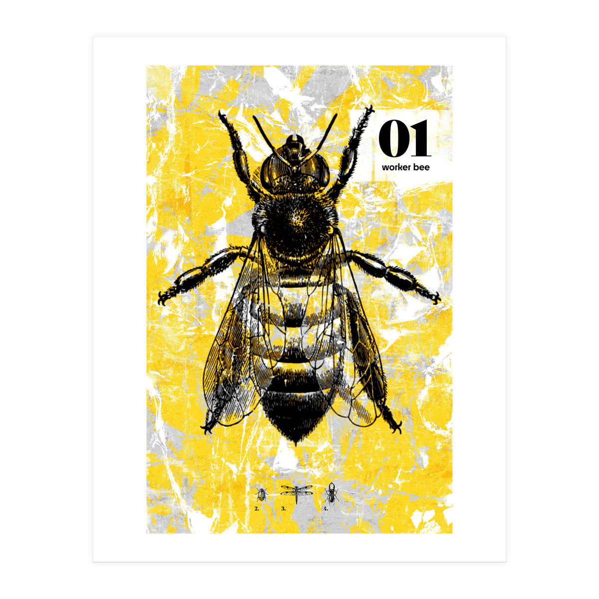 Bugs 1  (Print Only)