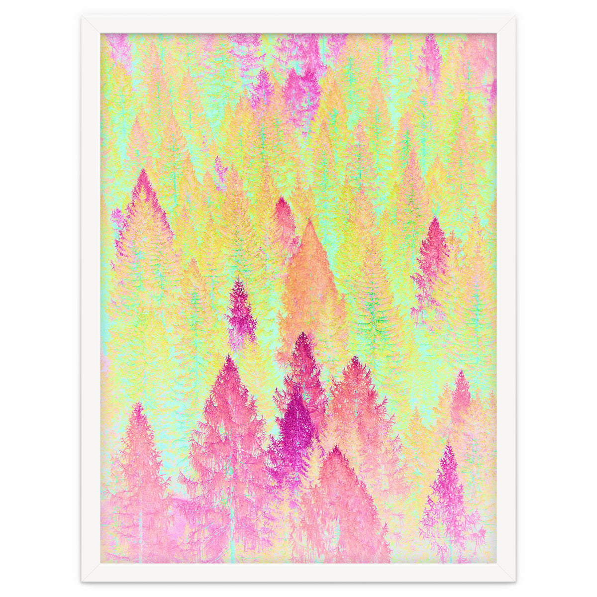 Painted Forest