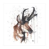Red deer - Wildlife Collection (Print Only) thumbnail