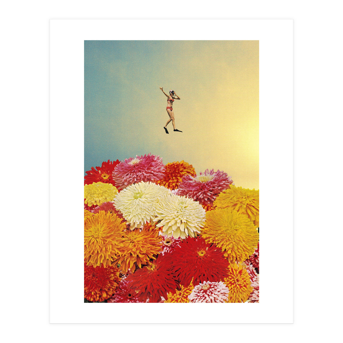 Diver (Print Only)