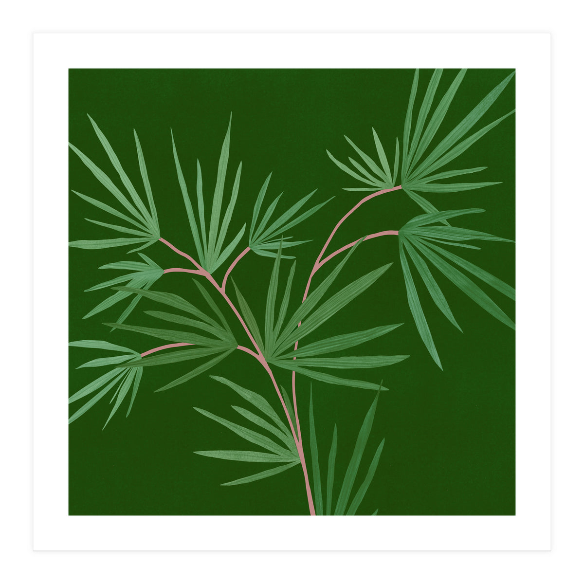 Abstract Palm (Print Only)