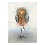 Reddish Egret (Print Only) thumbnail