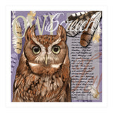 Screech Owl (Print Only) thumbnail