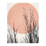 Sunset Dreams Rose (Print Only) thumbnail