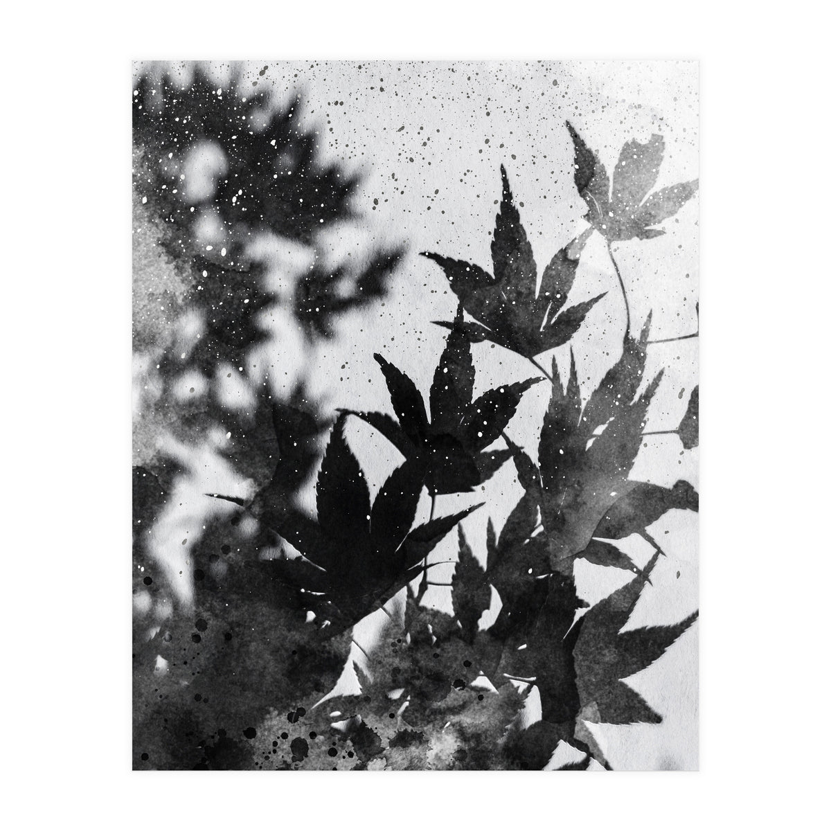 Leaves #2 (Print Only)