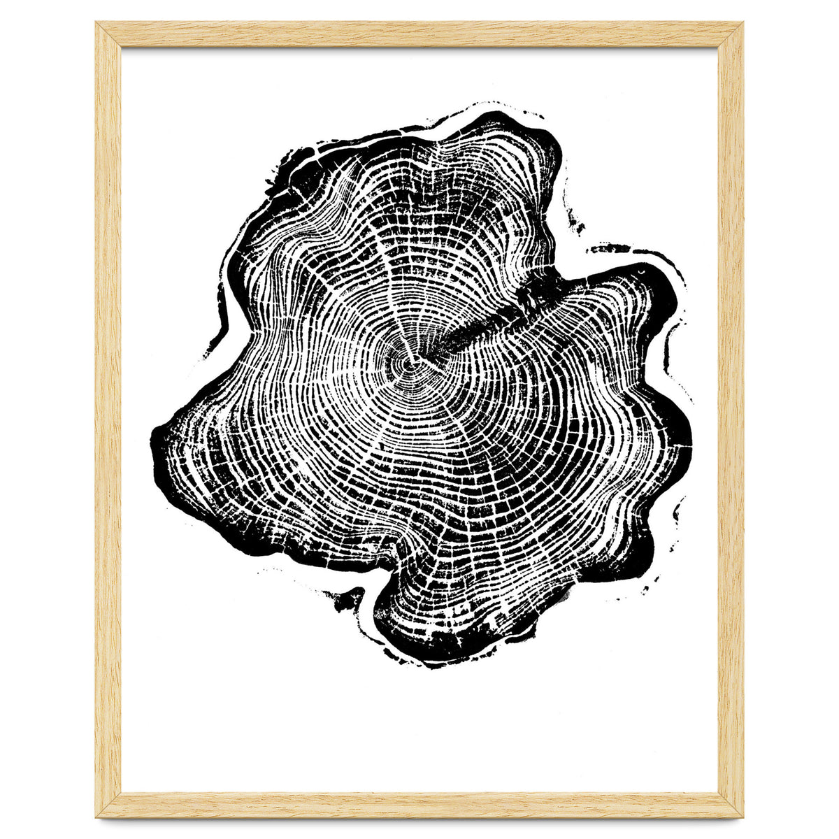 Alaskan Cypress, Tree Ring Art Print, Woodblock