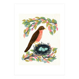 Robin (Print Only) thumbnail