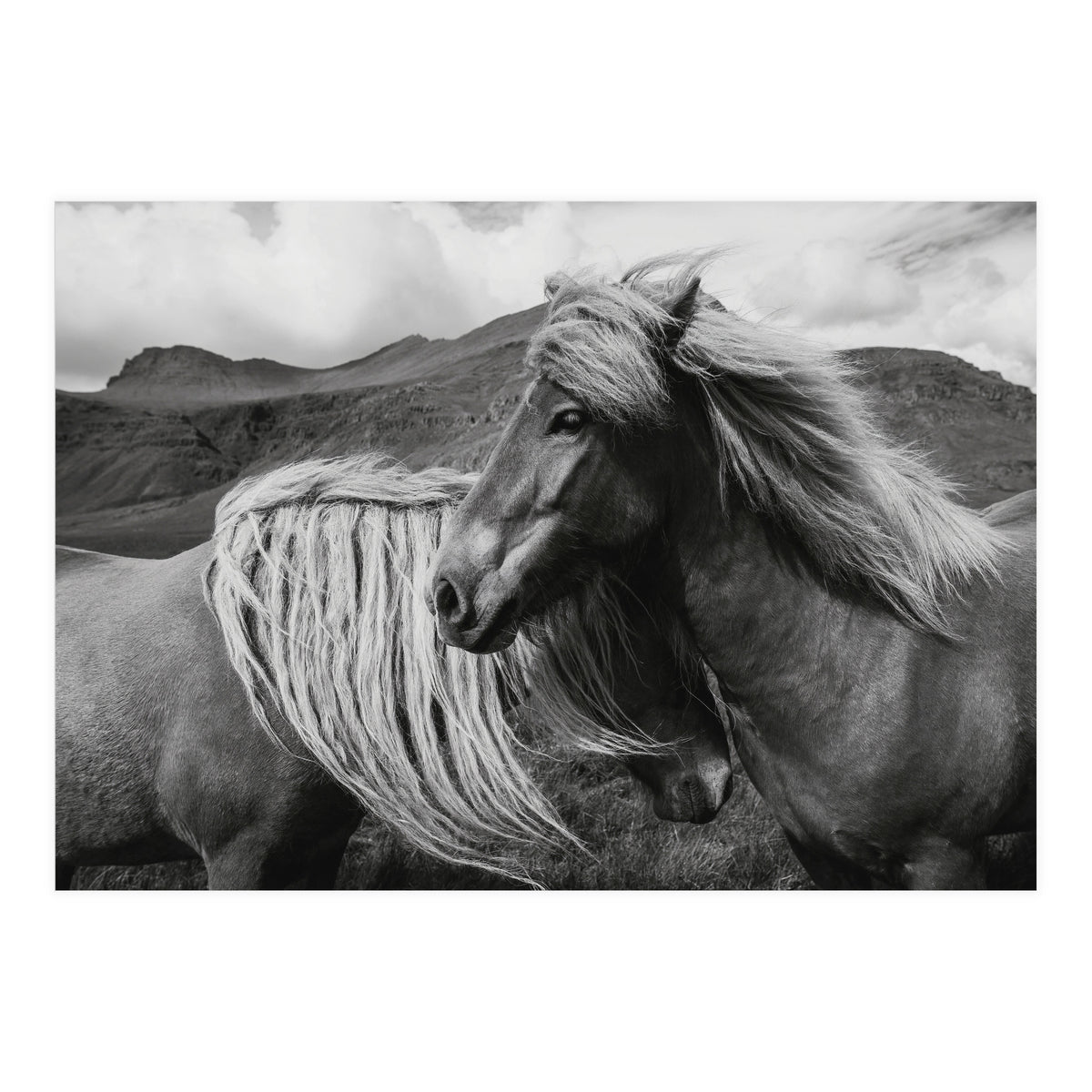 Horses In The Sky (Print Only)