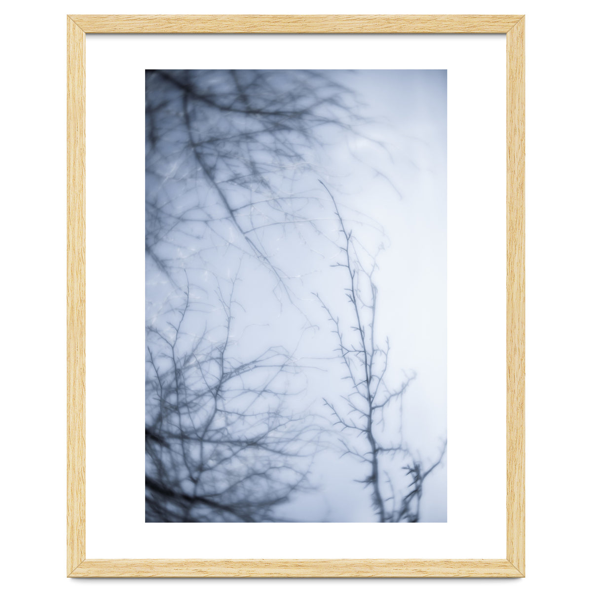 Forgotten Memories of Summer #21