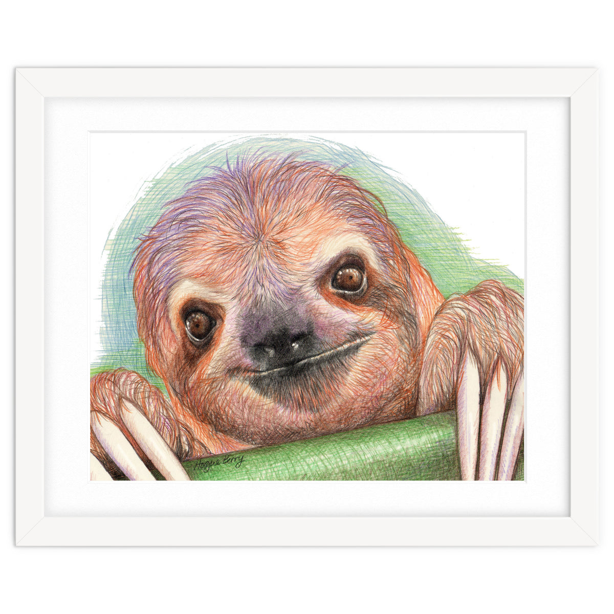 Smiling Sloth