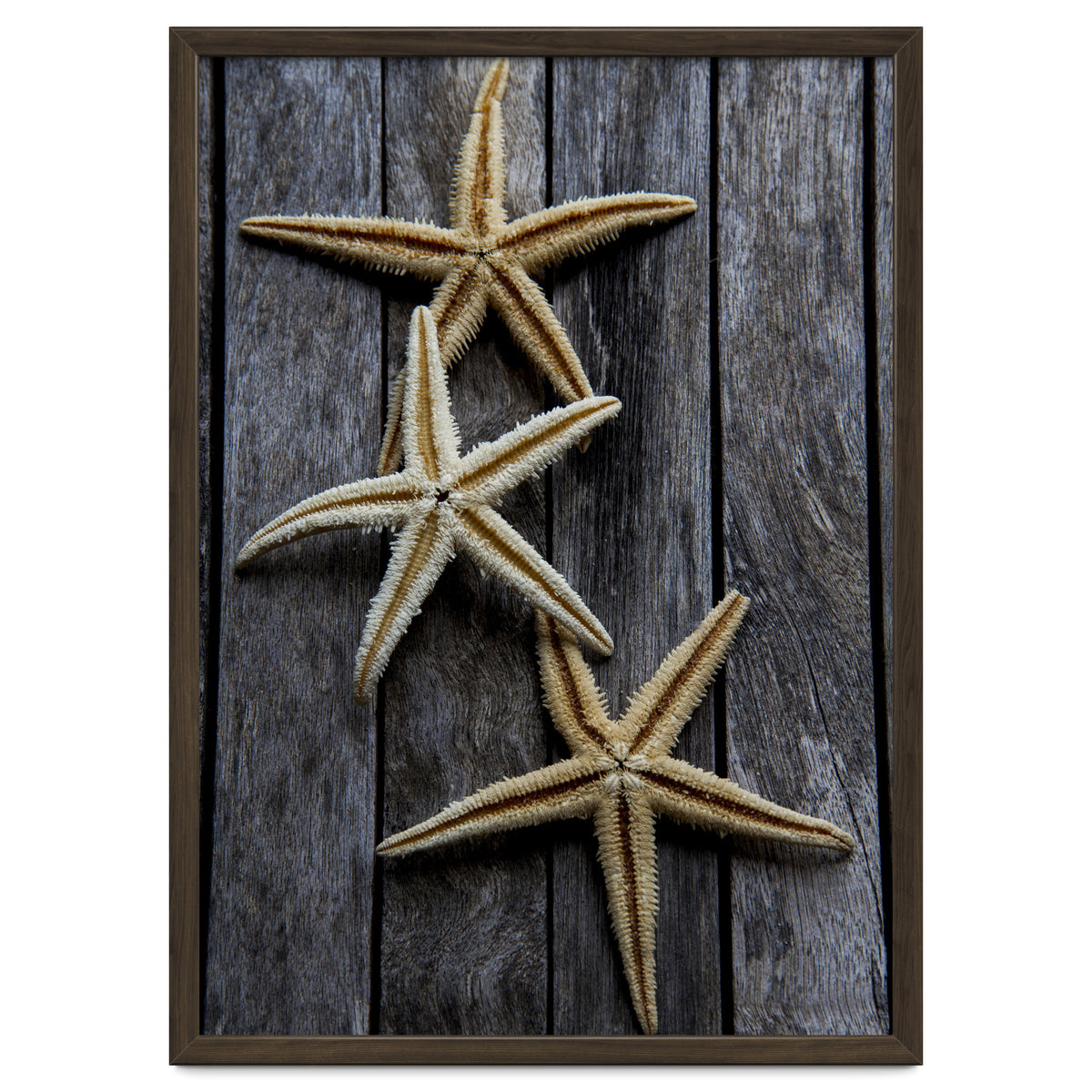 Starfishes in wooden