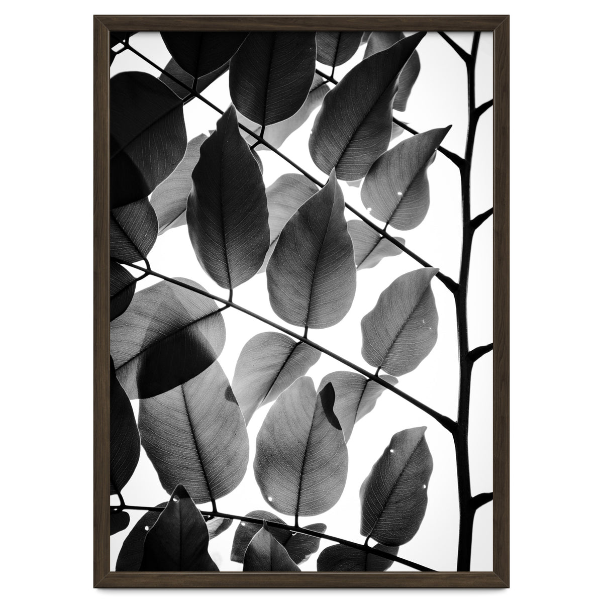 Branches and Leaves II