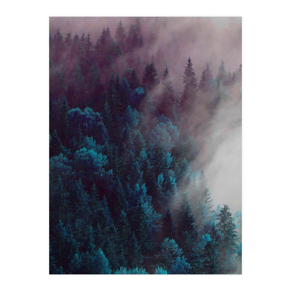 Anywhere You Go (Print Only)