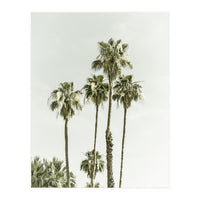 Palm Trees Summertime  (Print Only)