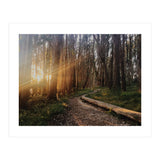The Wood Line I (Print Only) thumbnail