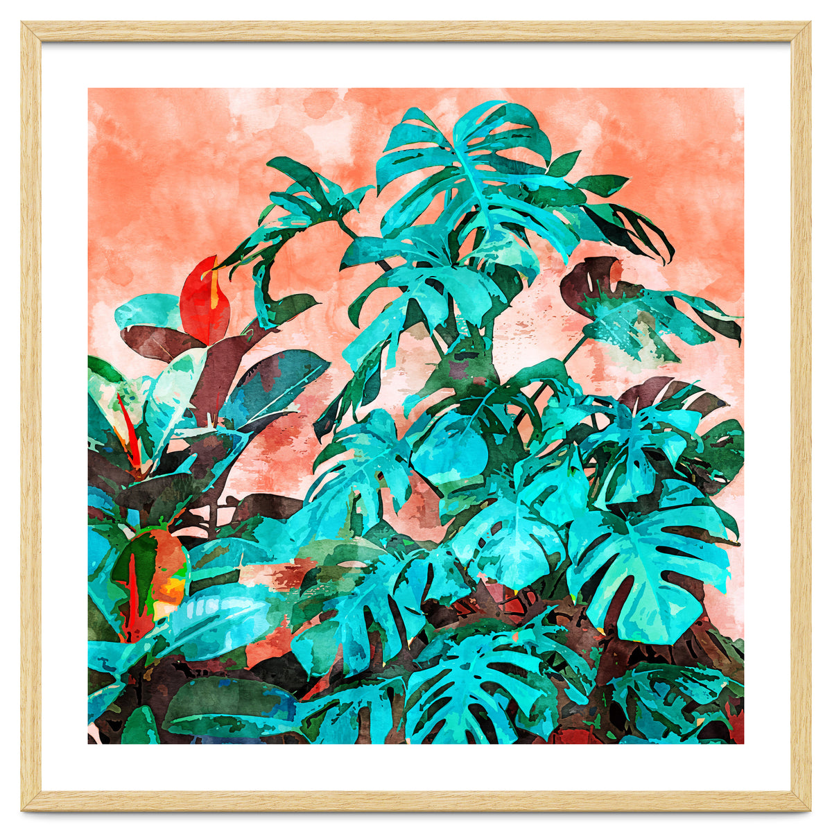 Monstera In My Backyard