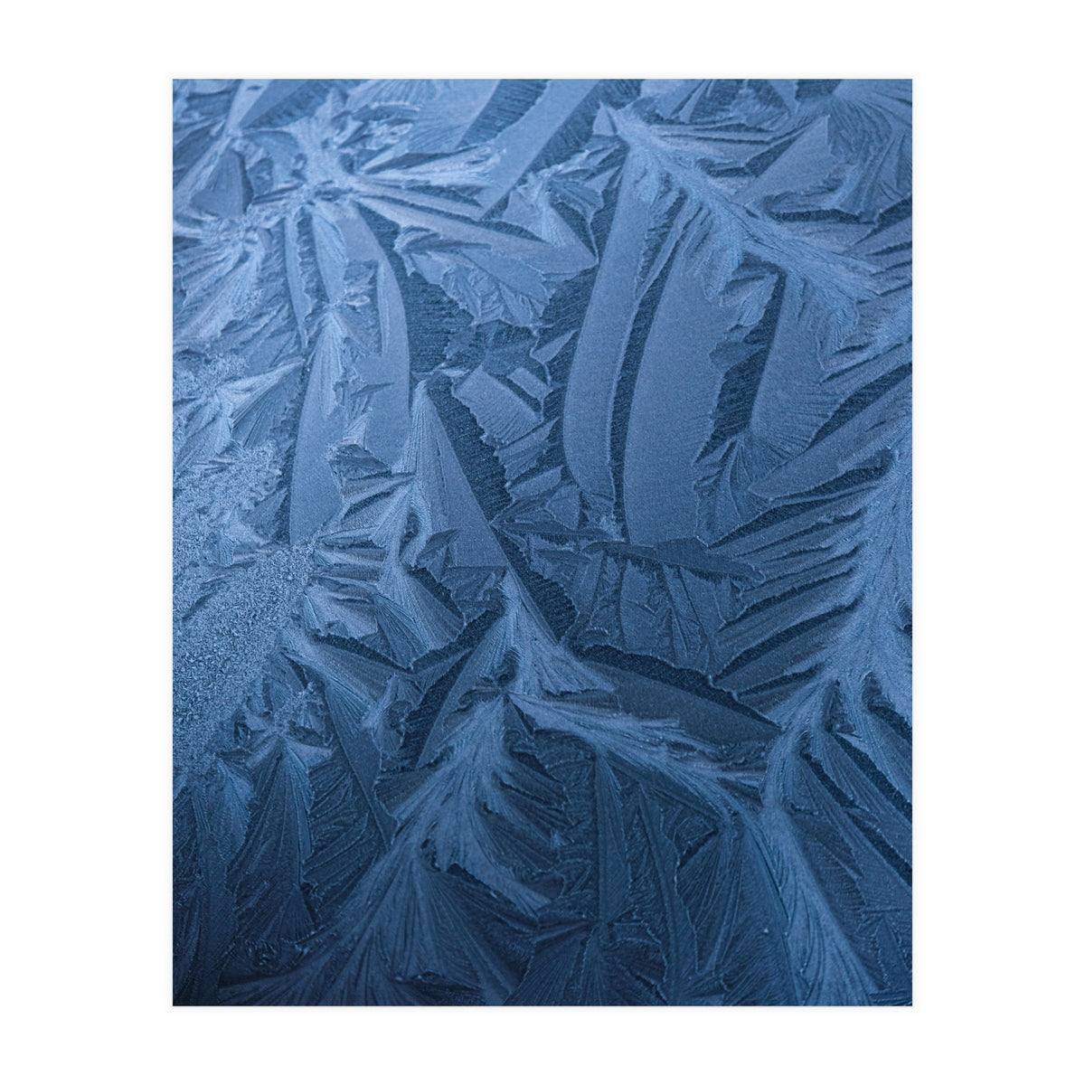 Ice Pattern Number 2 (Print Only)