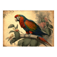 Parrot Vintage Painting (Print Only)