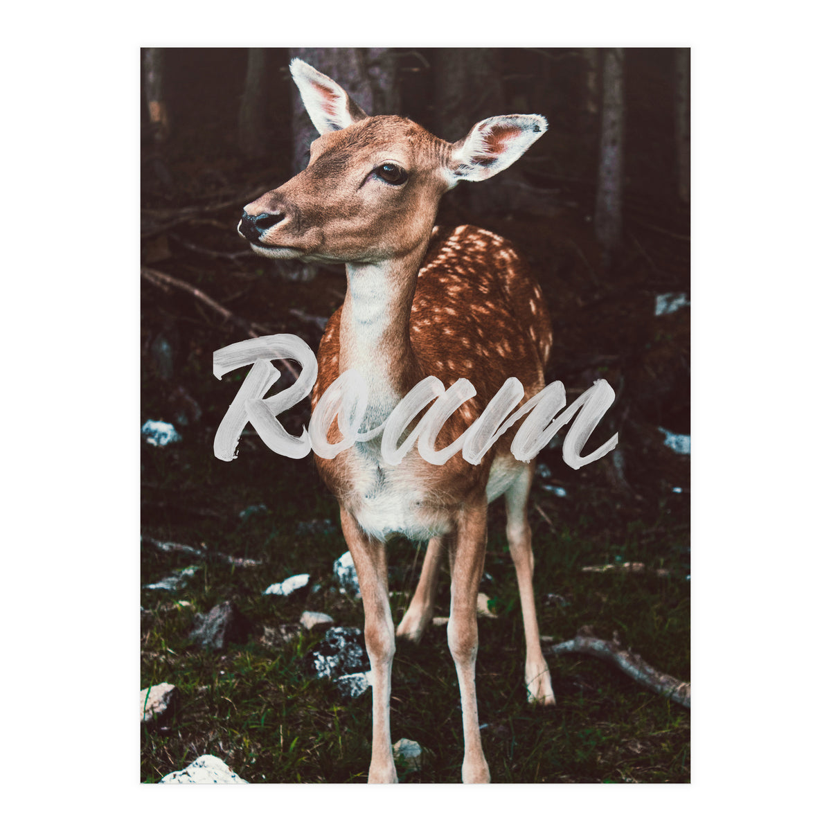 Roam (Print Only)
