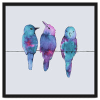 Three birds on a wire