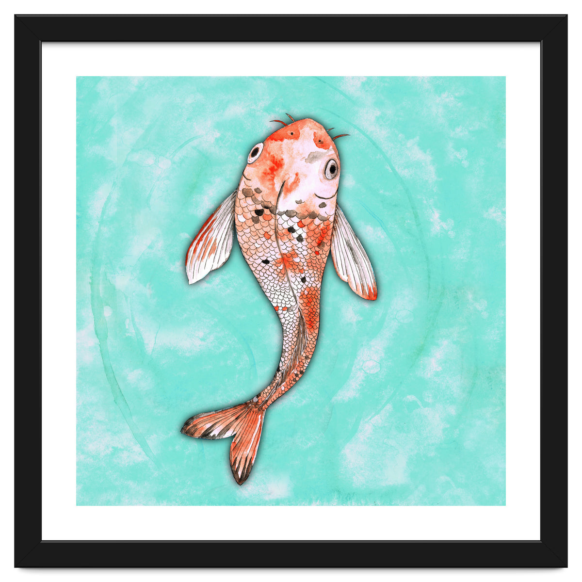 Koi fish