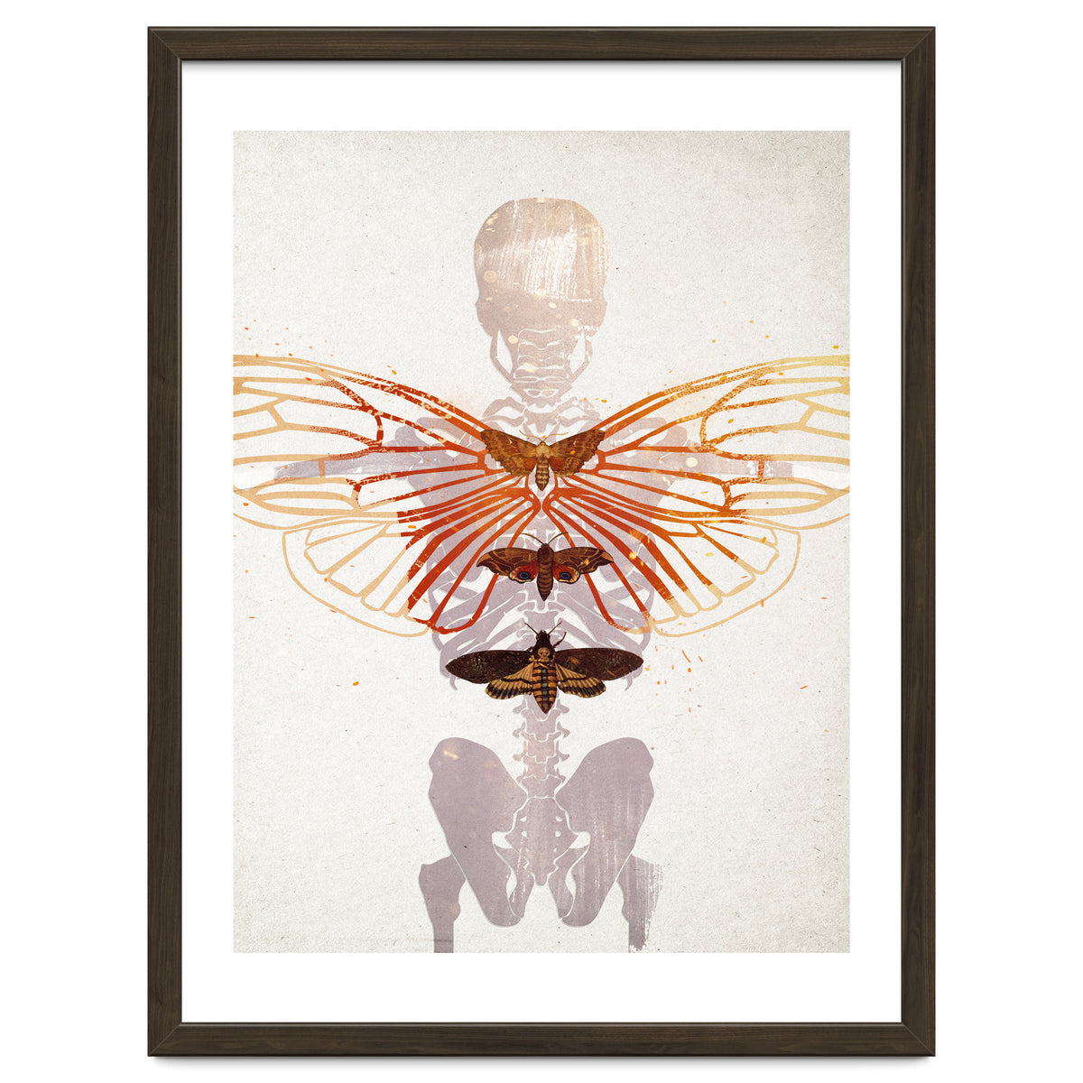 Ikarus - Like a Moth to the Flame