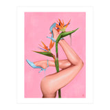 Bird Of Paradise (Print Only) thumbnail