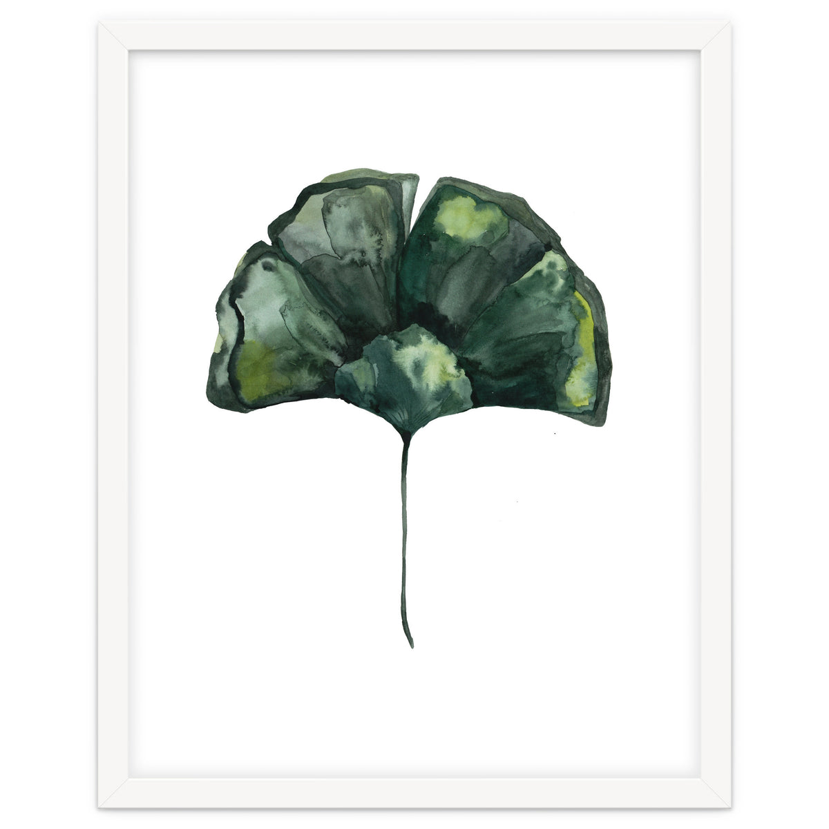 Botanical Illustration Ginko