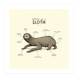 Anatomy Of A Sloth (Print Only) thumbnail