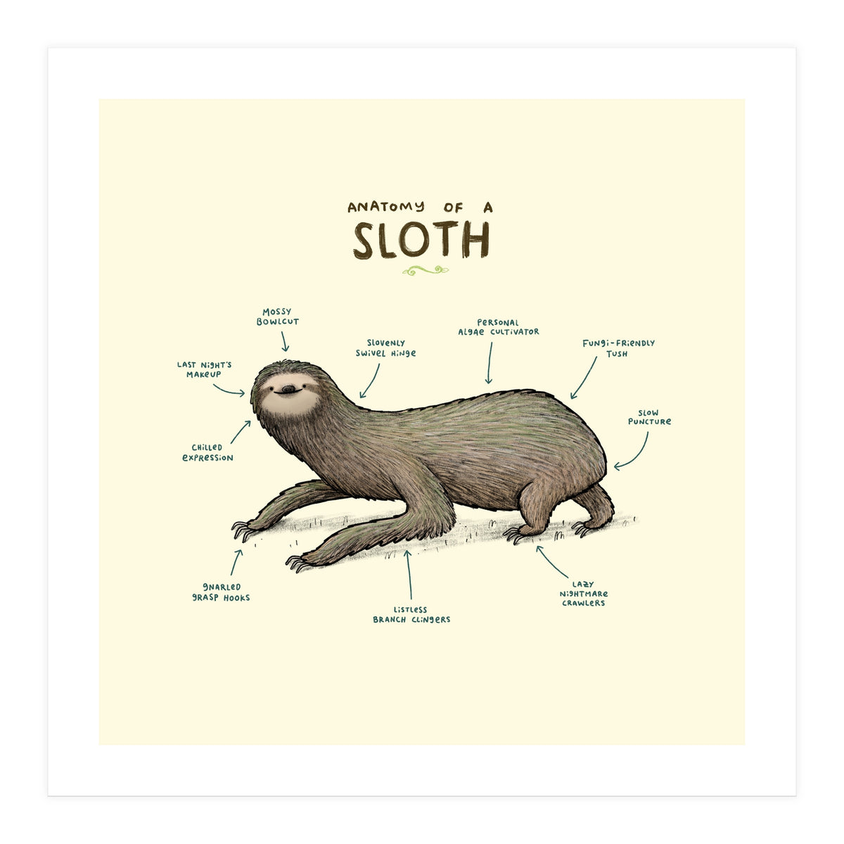 Anatomy Of A Sloth (Print Only)