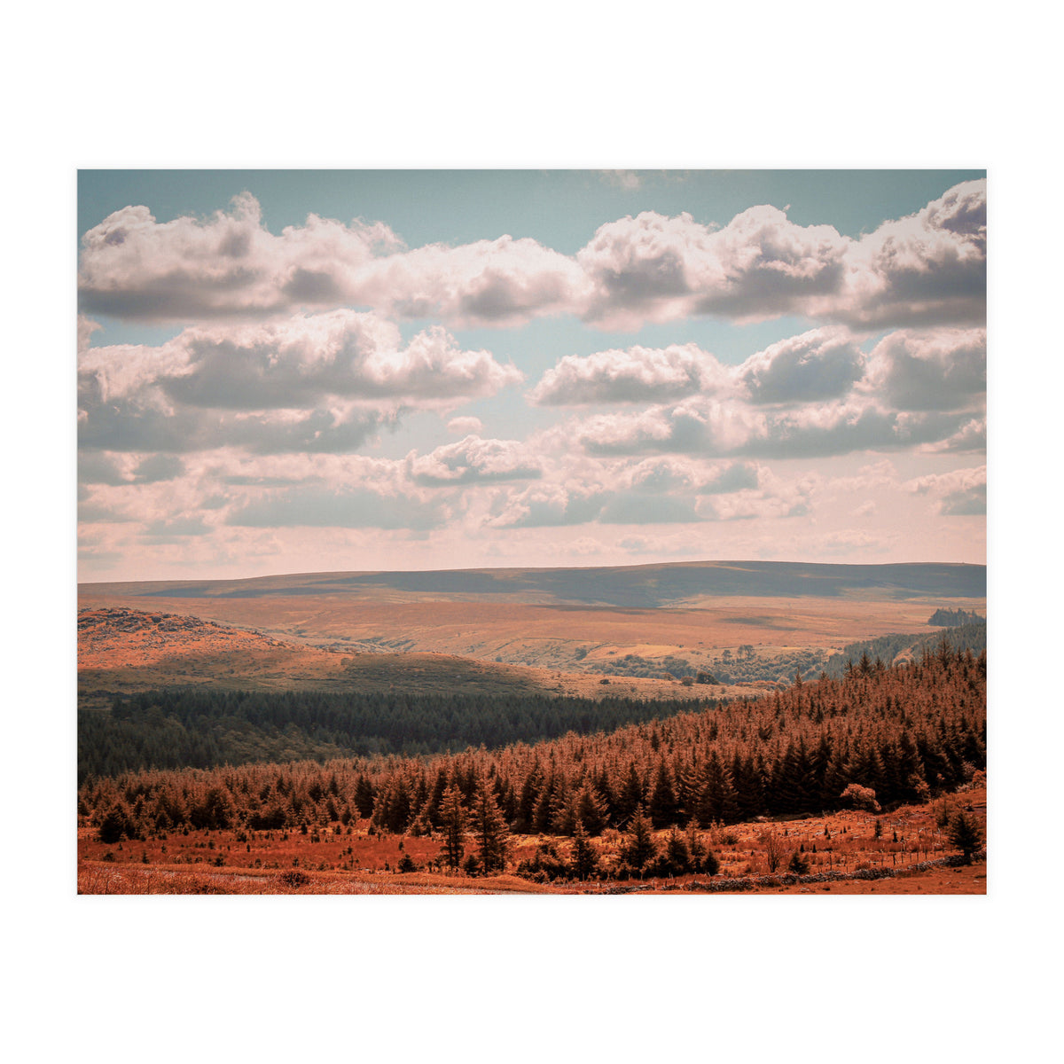 Dartmoor forest (Print Only)