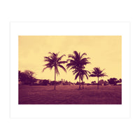 Palm Trees (Print Only)