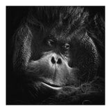 Reasoning (Print Only) thumbnail