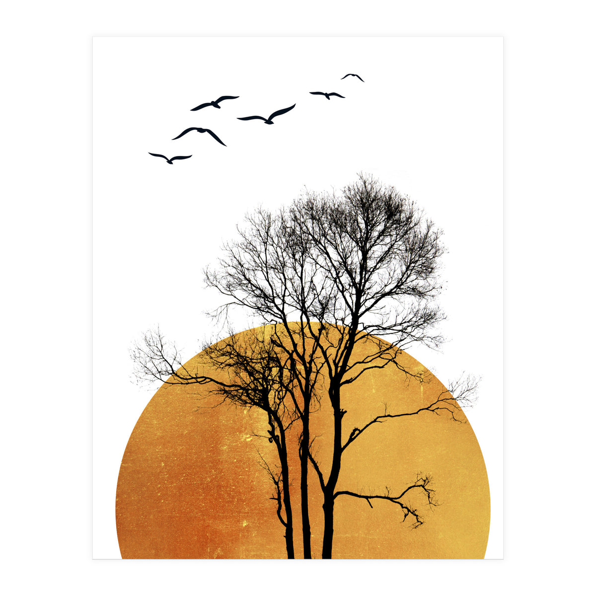 Winter Sunrise (Print Only)