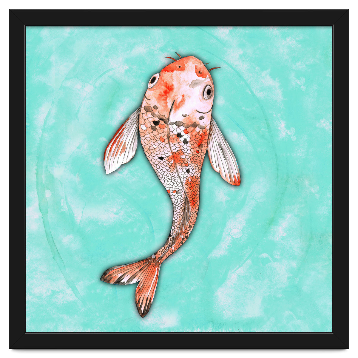 Koi fish