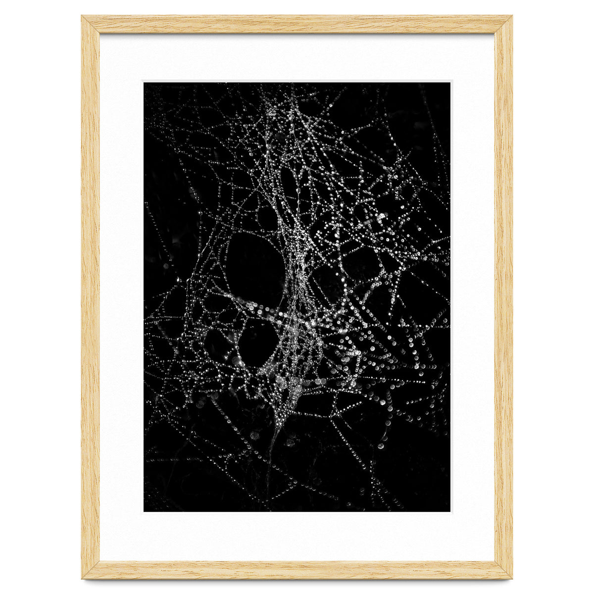 Spiderweb No 4
