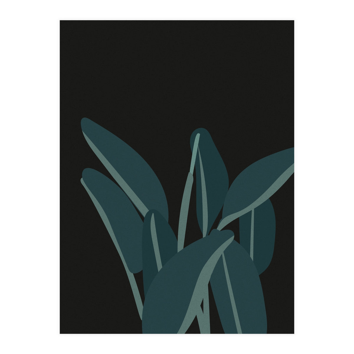 Bird Of Paradise (Print Only)