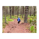 Into the forest (Print Only) thumbnail
