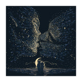 Starcrossed (Print Only) thumbnail