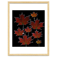 Red Autumn Leaves on Black Ground.