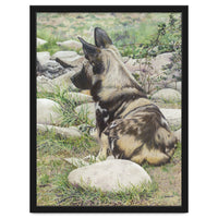 African Painted Dog I