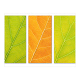 Autumn Leaves (Print Only) thumbnail